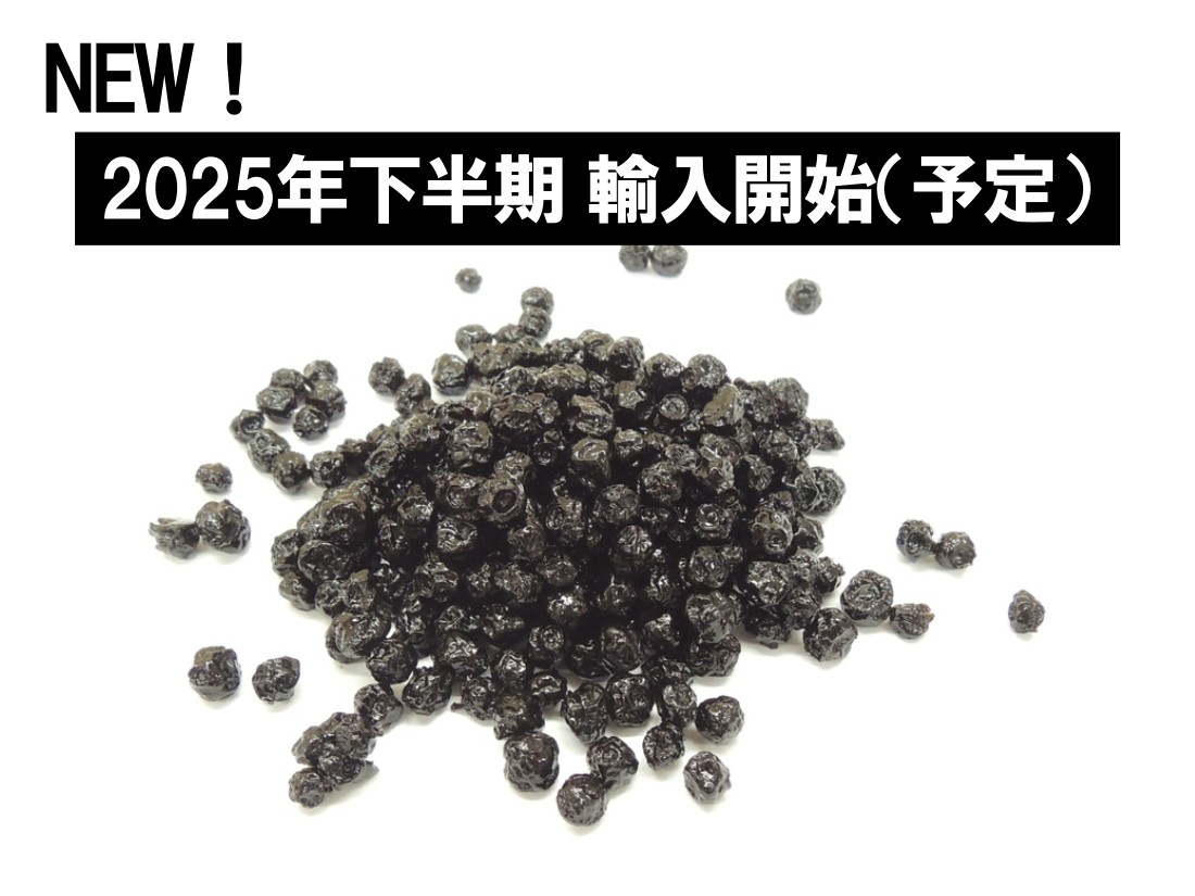 カナダ産 ワイルドブルーベリー 果汁使用